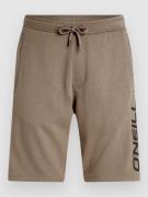 O'Neill Logo Shorts pumpkin smoke