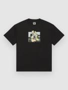 DC Rose And Thorn Star T-Shirt black