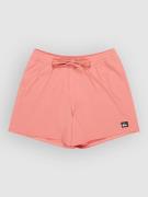 Quiksilver Everyday Flex Volley 15 Shorts desert sand