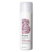 Briogeo Farewell Frizz™ Smoothing Shampoo 236 ml