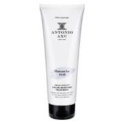 Antonio Axu Color Boosting Treatment Platinum Ice 250 ml