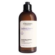 L’Occitane en Provence Gentle & Balance Shampoo 300ml