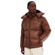 Ellesse Brun Appiani Vadderad Jacka Brown, Herr