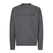 Calvin Klein Herrhoodie med centralt logotyp Gray, Herr