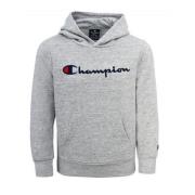 Champion Junior Broderad Script Logo Hoodie Gray, Herr