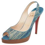 Christian Louboutin Pre-owned Pre-owned Laeder klackskor Blue, Dam