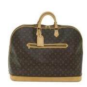 Louis Vuitton Vintage Pre-owned Canvas handvskor Brown, Dam