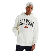 Ellesse Hoodies White, Herr