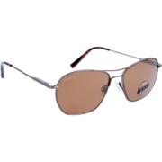 Serengeti Borstad Brons Photochromic Solglasögon Brown, Unisex