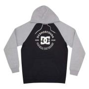 DC Shoes Star Pilot Raglan Hoodie Multicolor, Herr