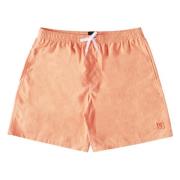 DC Shoes Wayford Shorts Orange, Herr