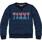 Tommy Jeans Blå Logo Tröja Regular Fit Blue, Herr