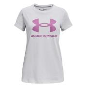 Under Armour T-shirt Gray, Dam