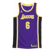 Jordan LeBron James Basketball Tank Top Purple, Herr