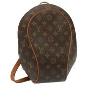 Louis Vuitton Vintage Pre-owned Canvas axelremsvskor Brown, Dam