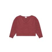 The New Society Mjuk V-ringad Jumper Rostad Karamell Red, Dam