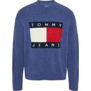 Tommy Jeans Klarblå Tröja med Flaggemblem Blue, Herr