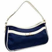 Salvatore Ferragamo Pre-owned Pre-owned Tyg axelremsvskor Blue, Dam