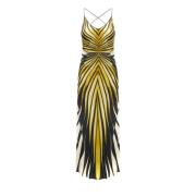 Roberto Cavalli Stiliga Klänningar för varje tillfälle Multicolor, Dam