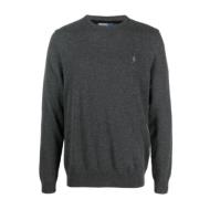 Ralph Lauren Tröjor Gray, Herr