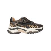 ASH Leopardmönstrad Sneaker Multicolor, Dam