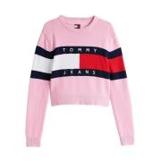 Tommy Jeans Färgblock Rund Hals Tröja Pink, Dam