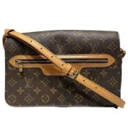 Louis Vuitton Vintage Pre-owned Canvas axelremsvskor Brown, Dam