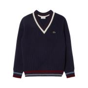 Lacoste Blårandig Ullhoodie Aw24 Blue, Herr