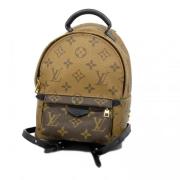 Louis Vuitton Vintage Pre-owned Canvas ryggsckar Brown, Dam