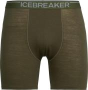 Icebreaker Men's Anatomica Long Boxers Loden