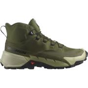 Salomon Men's Cross Hike 2 Mid GORE-TEX Olive Night/Moss Gray/Black