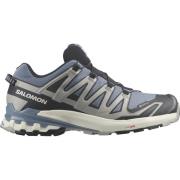 Salomon Men's XA Pro 3D V9 GORE-TEX Flint Stone/Black/Ghost Gray