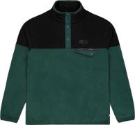 Picture Organic Clothing Men's Arcca 1/4 Fleece C Ponderosa Pine Black