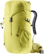 Kids' Climber 22 Sprout-Linden
