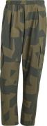 Adidas Men's Cargo Aop Pants Carbon/legivy/olistr/