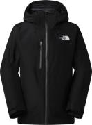 The North Face Men's Gore-Tex Dawnstrike Insulated Jacket TNF Back