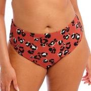 Elomi Kotiya Mid Rise Bikini Brief Orange/Svart 42 Dam