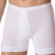 Schiesser Kalsonger Fine Rib Underpants 3XL-6XL Vit bomull 3XL Herr