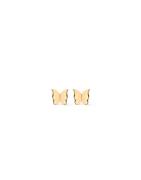 Muli Collection - Guld - Butterfly Studs