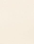 Dr Denim - Beige - Zoe Top