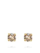 Caroline Svedbom Classic Stud Earring Gold Guld