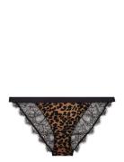 Wild Rose Trosa Brief Tanga Black Love Stories