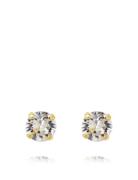 Caroline Svedbom Classic Stud Earring Gold Guld