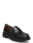 D Spherica Ec1 A Loafers Låga Skor Black GEOX