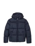 Tom Tailor Puffer Jacket Marinblå