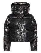 High Shine Puffer Fodrad Jacka Black Calvin Klein Jeans