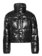 Cropped Shiny Puffer Fodrad Jacka Black Calvin Klein Jeans