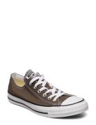 Chuck Taylor All Star Låga Sneakers Brown Converse