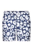 Hco. Guys Swim Badshorts Blue Hollister