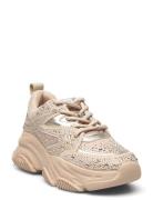 Steve Madden Jprivy Sneaker Beige